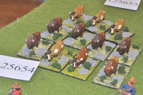 25mm old west scenics - west, /